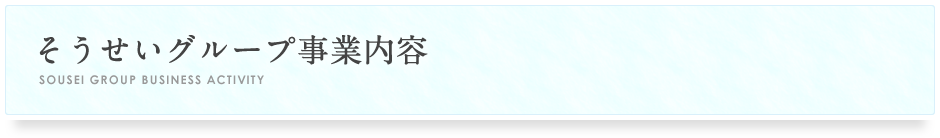 そうせいグループ事業内容